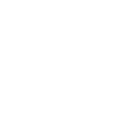Al Ahlia University logo
