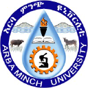 Arba Minch University logo