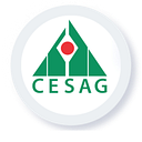 African Centre for Management Studies logo