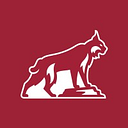 California State University-Chico logo