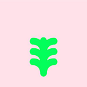 National School of Decorative Arts logo