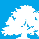 International Business School logo