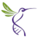 Institute of Ecology logo