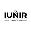 Italian University Institute of Rosario logo