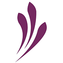 Lille University – IXAD logo