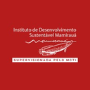 IDSM - Instituto de Desenvolvimento Sutentavel Mamiraua logo