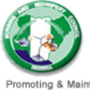 Nursing and Midwifery logo