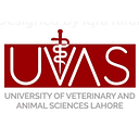University of Veterinary and Animal Sciences logo