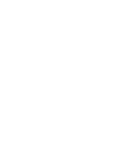 Vistula University logo